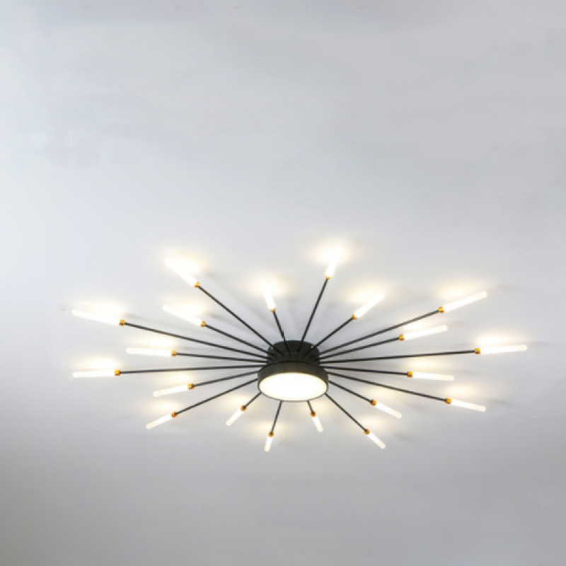 Wesley Modern Home Decoration Fireworks LED Ceiling Light — product view 2