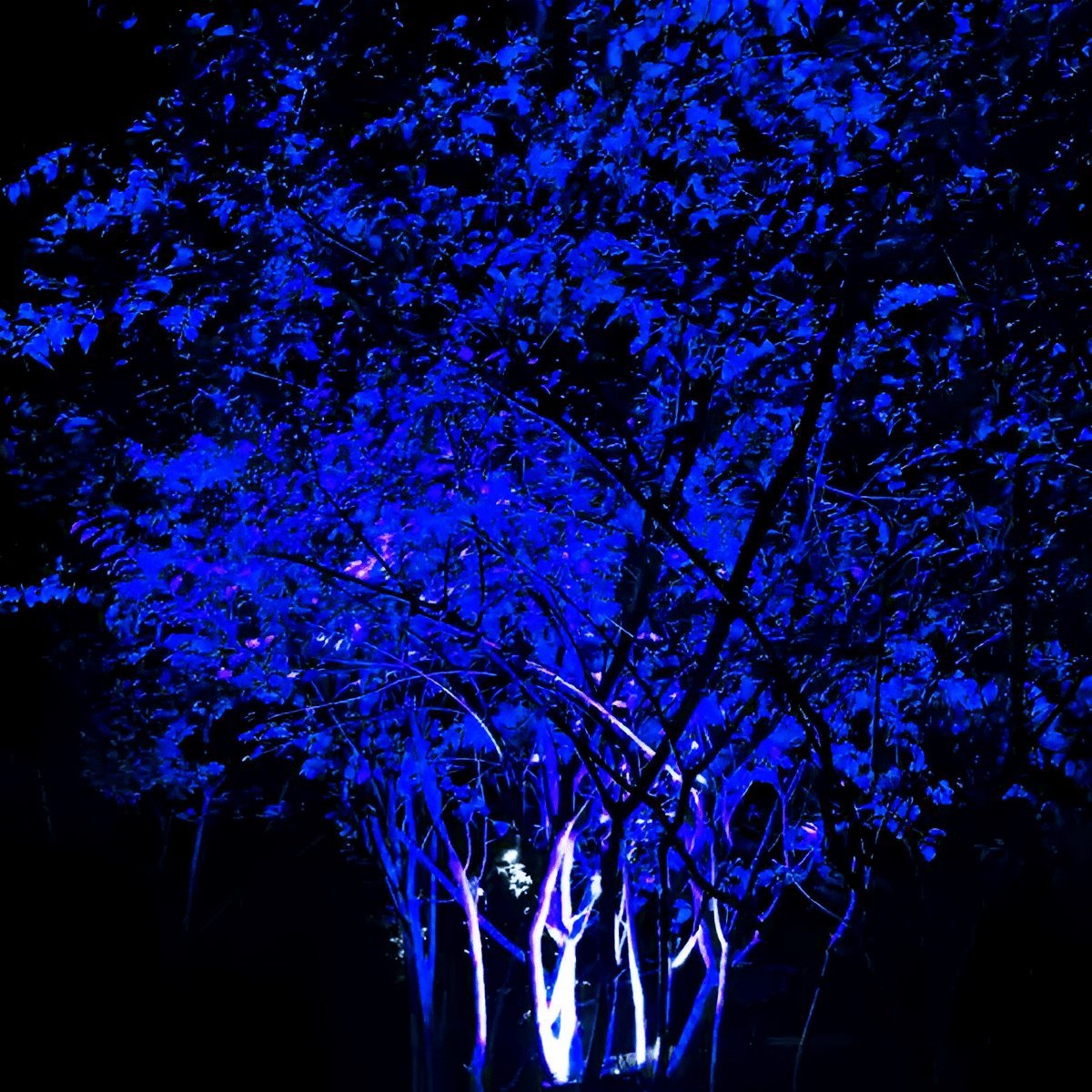 Waterproof Outdoor Landscape RGB Tree Spot Light With Remote Control — product view 6