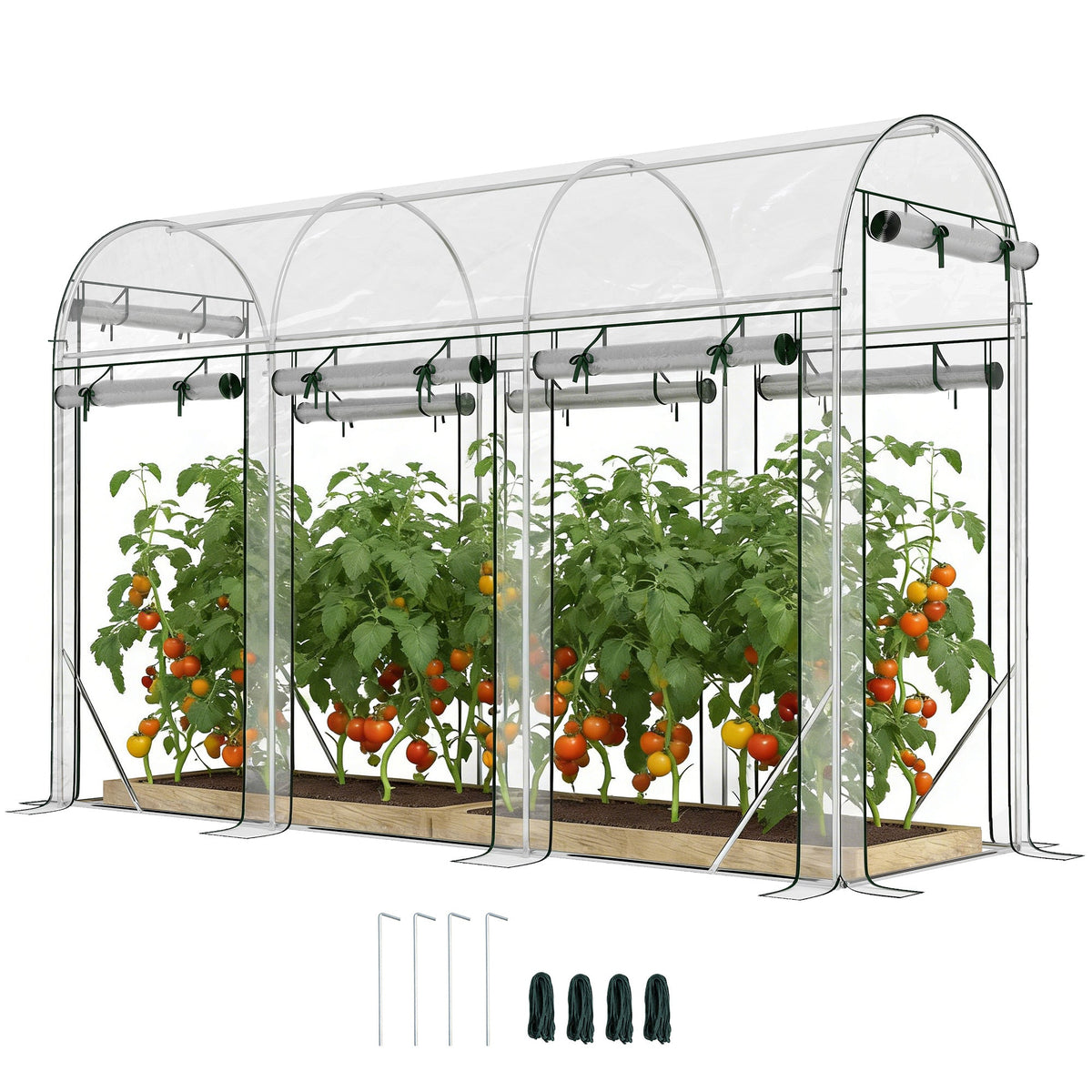 10' x 3' x 6.5' Walk-in Tunnel Greenhouse, Clear — product view 1