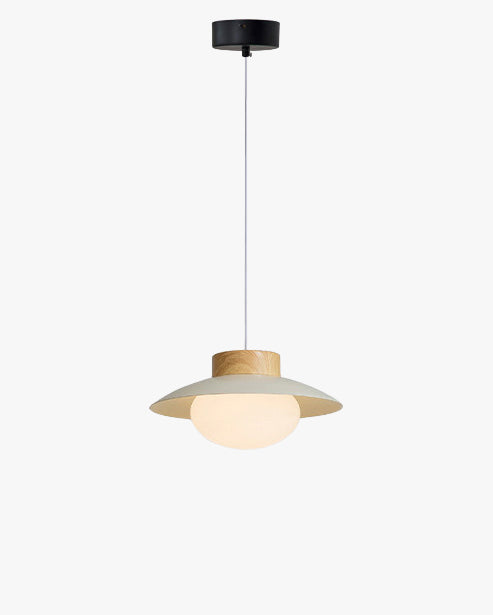 WOMO Dome Glass Pendant Light - WM3144 — product view 1