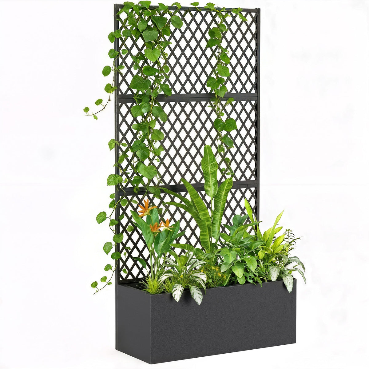 Metal Planter Box with Trellis Privacy Screen, Diamond Lattice — product view 1