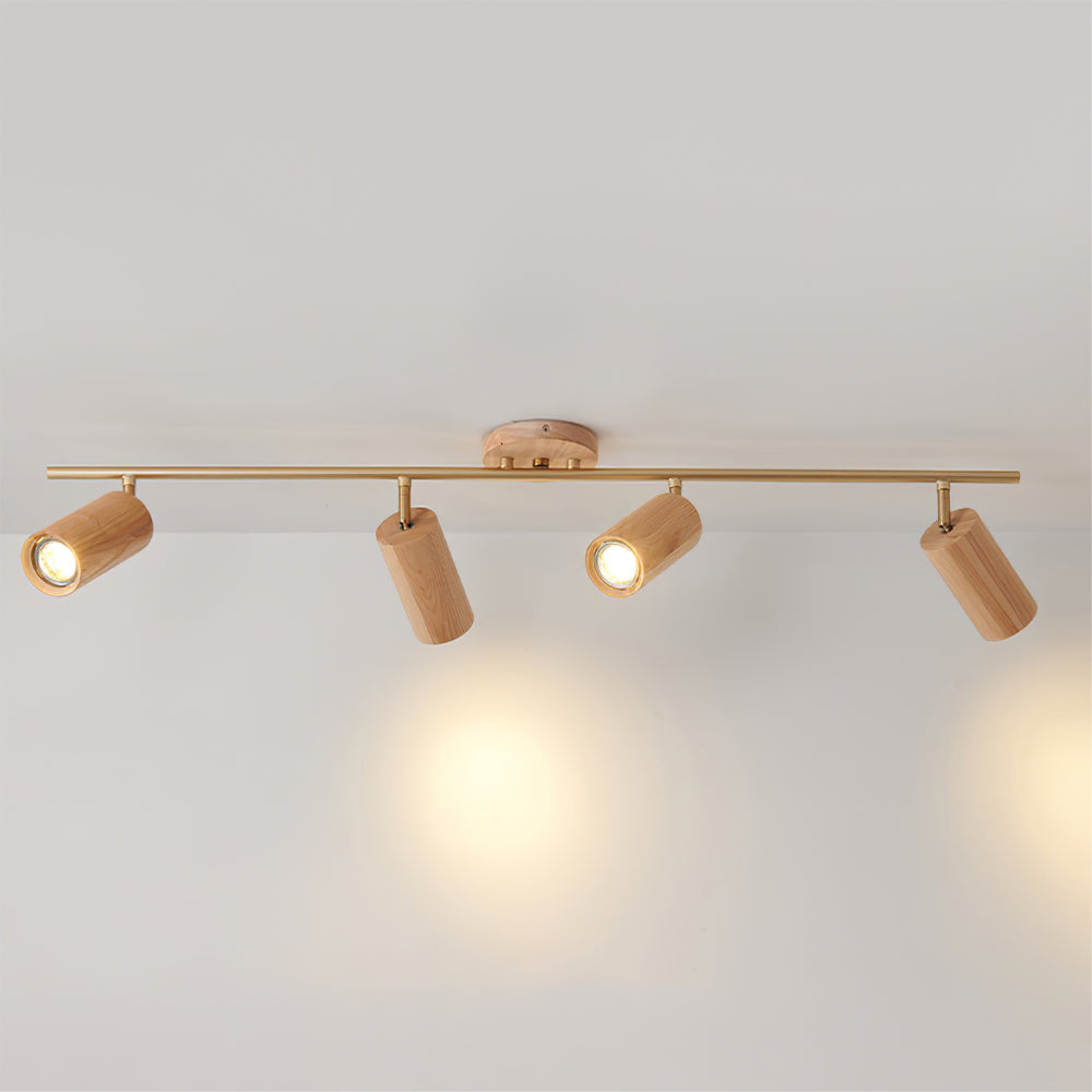 Arthur Ceiling Light Spotlight — product view 3