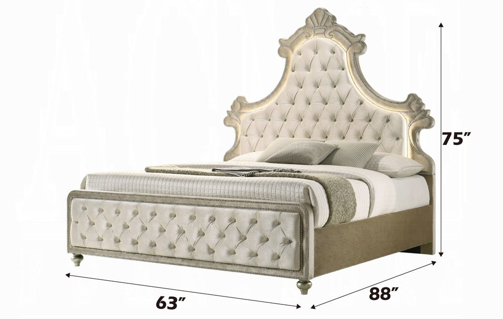 Lucienne Beige Velvet Button-Tufted Ornate Scalloped Headboard Queen Bed with LED Lighting – BD02335Q — product view 5