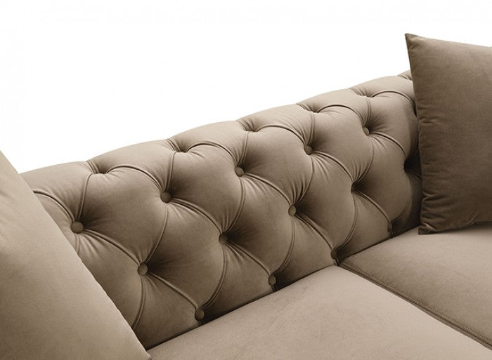 Avara Warm Mink Brown Fabric Gold Trim Sofa and Love Seat Set with Tufted Backs – FM67015SKBR-2PC — product view 6