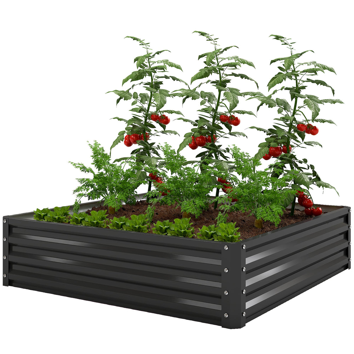 4' x 4' x 1' Galvanized Raised Garden Bed for Vegetables, Black — product view 2