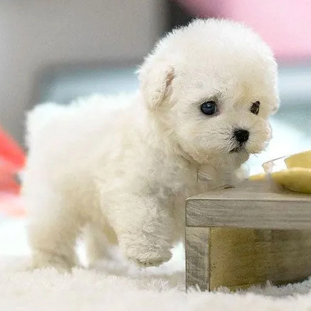 Realistic Robotic Puppy — product view 4