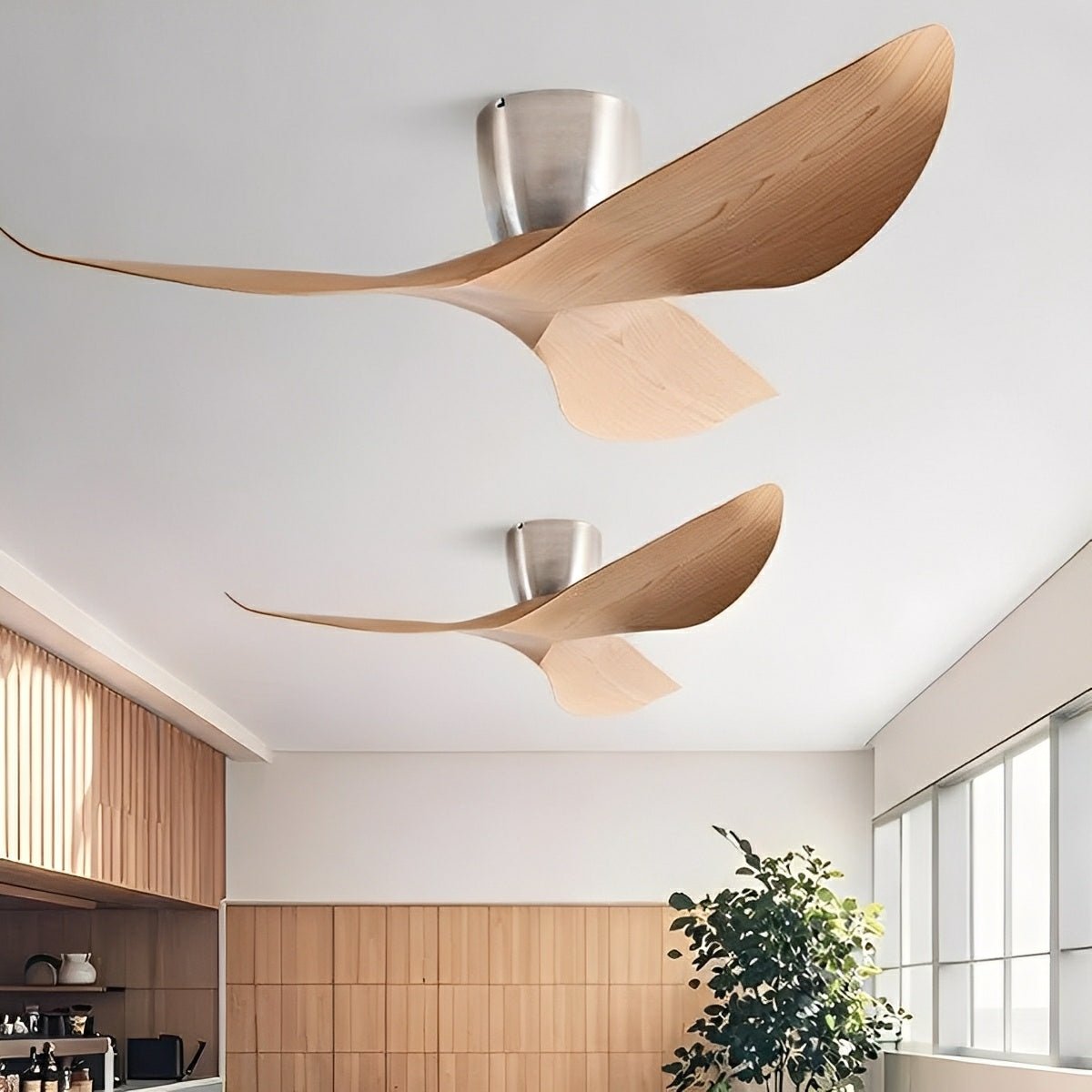 Modern 6-Speed DC Motor Ceiling Fan Reversible LED Bedroom Dining Room — 38 to 52 Inch White Black Walnut — product view 1