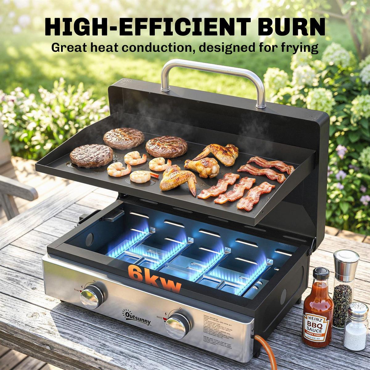 2-Burner Portable 6 kW Gas Plancha Tabletop Griddle with Grease Cup for Camping, Black — product view 6