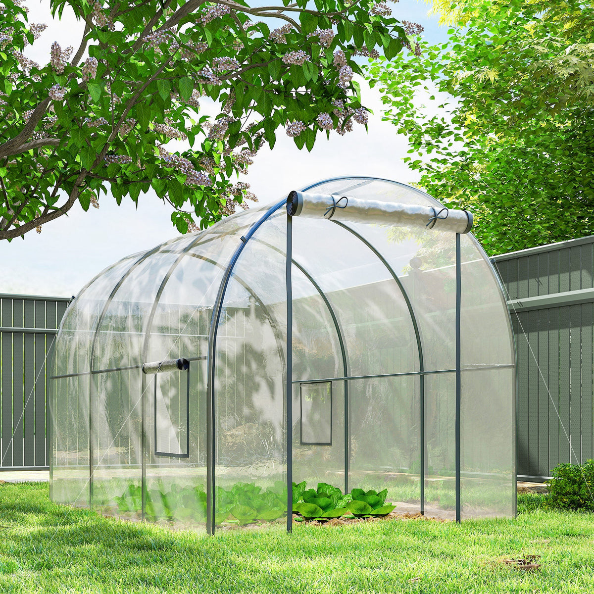 3 x 2 x 2 m Polytunnel Greenhouse with Roll-up Door, Clear — product view 4