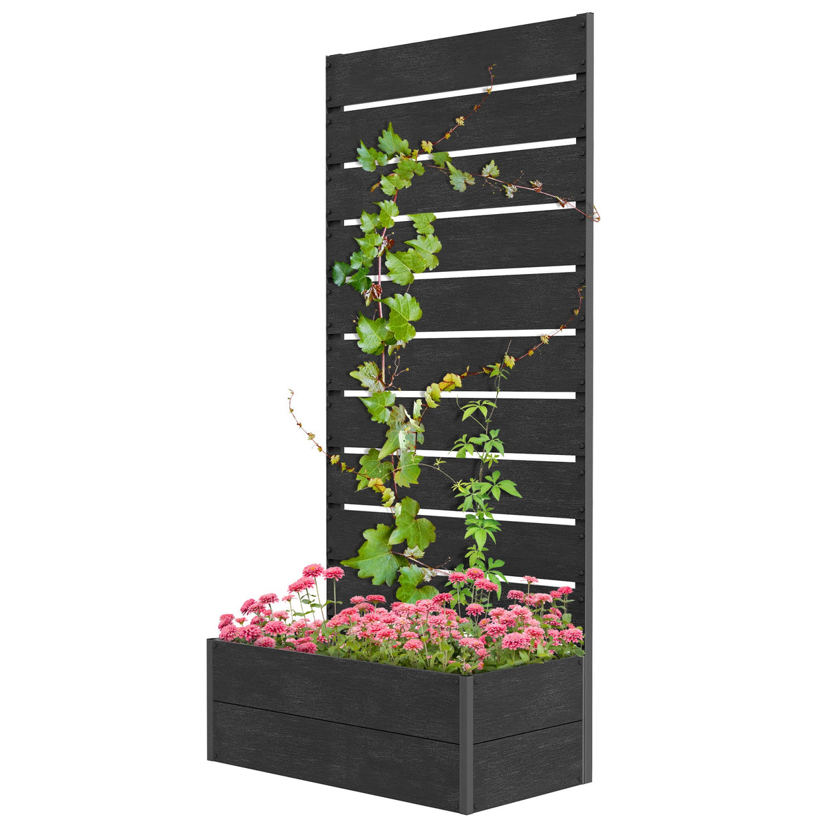 28" x 15" x 59" Raised Garden Bed with Trellis and Drain Gap, Black — product view 2