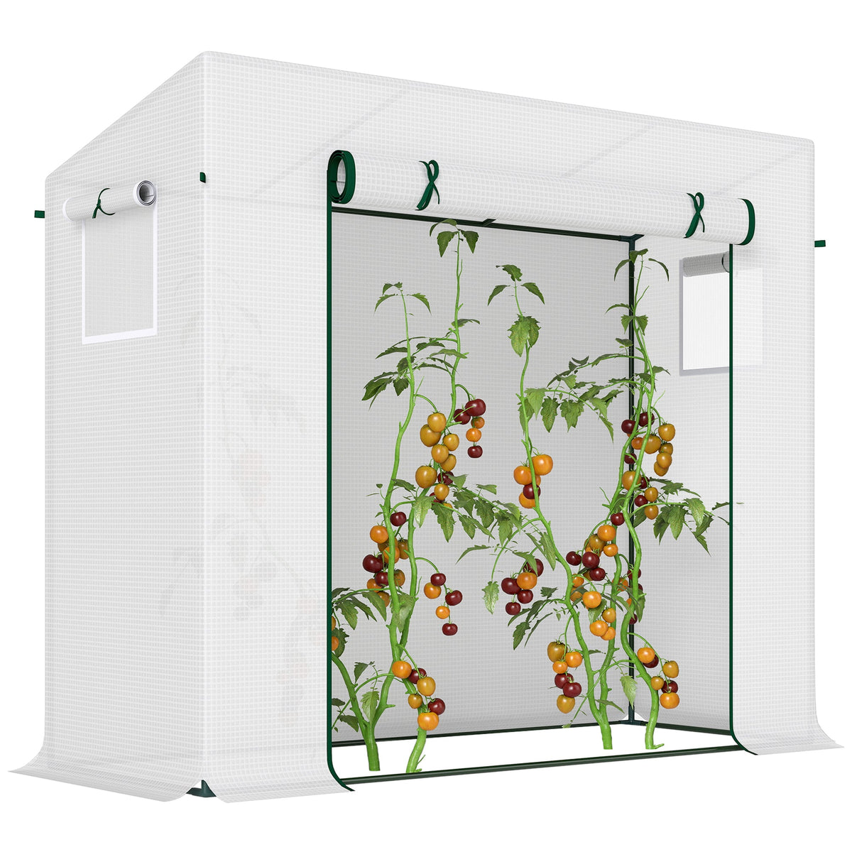 6.6' x 2.5' x 5.5' Walk-in Greenhouse with Door and Window, White — product view 1