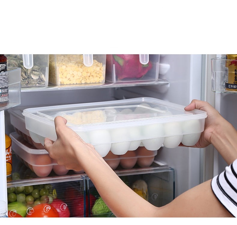 LoungeYard | Japanese-Style Plastic Duck Egg Storage Box — product view 2