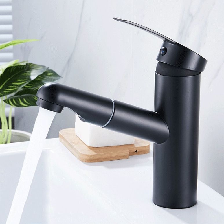 LoungeYard | Contemporary Style Faucets Single Handle Swivel Spout Faucets — product view 5