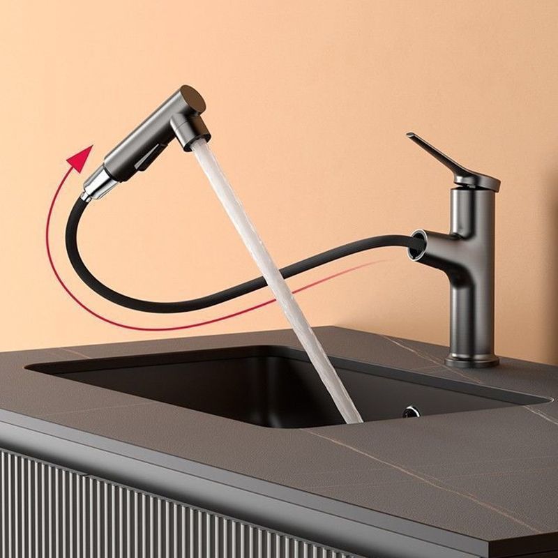 LoungeYard | Contemporary Style Faucet Single Lever Mixer with Swivel Spout — product view 5