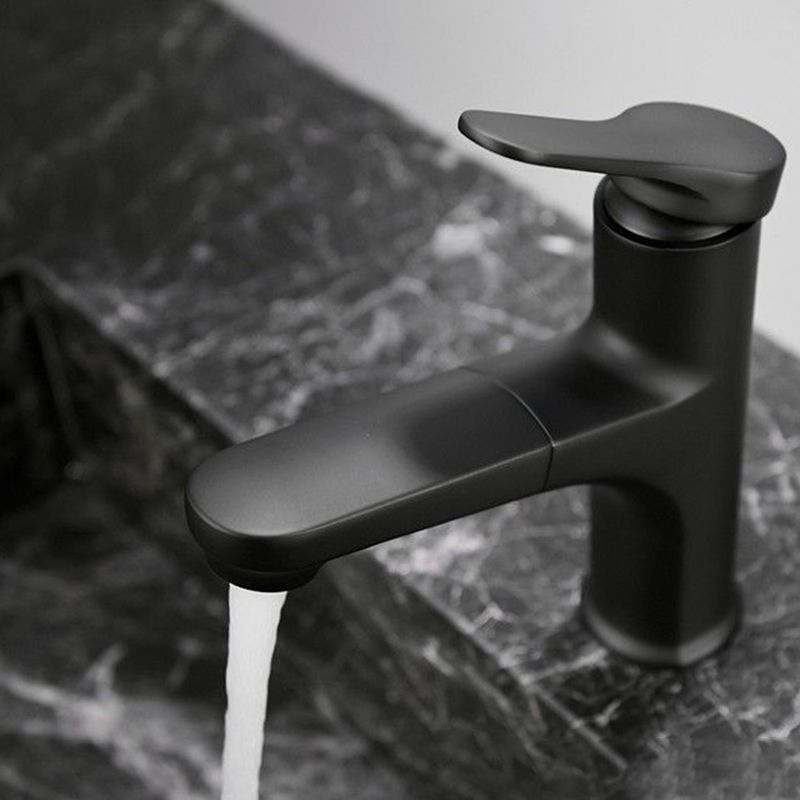 LoungeYard | Contemporary Style Faucet Single Lever Mixer with Swivel Spout — product view 2