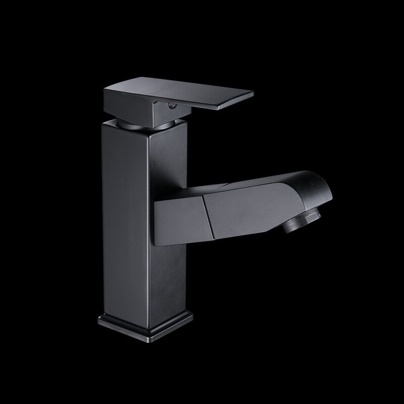 LoungeYard | Contemporary Style Faucets Single Handle Swivel Spout Faucets — product view 2
