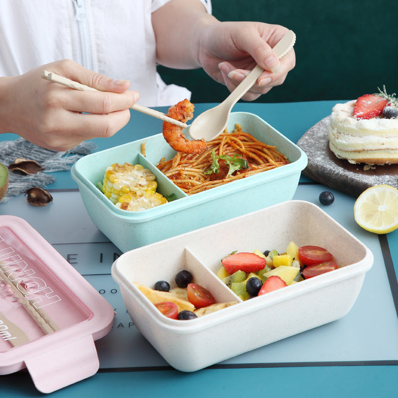 Eco-Friendly Multi-Section Meal Prep Container — product view 4