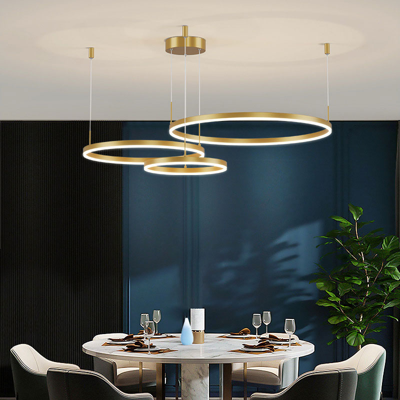 Remi Pendant Light Tir-Circle Liner — product view 6