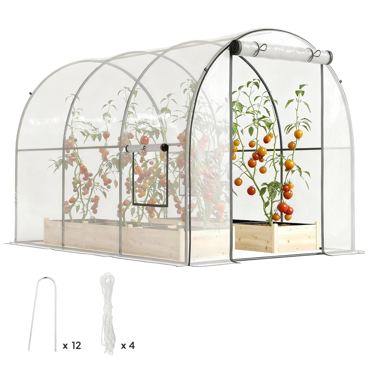 3 x 2 x 2 m Polytunnel Greenhouse with Roll-up Door, Clear — product view 1