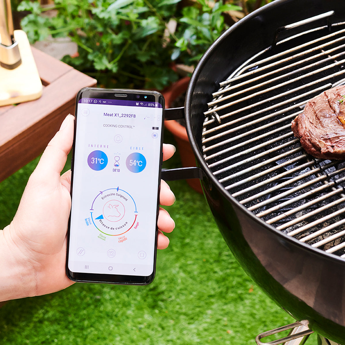 Wireless Meat Thermometer — product view 3