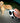 16ft Retractable Leash with LED Flashlight and Bag Dispenser