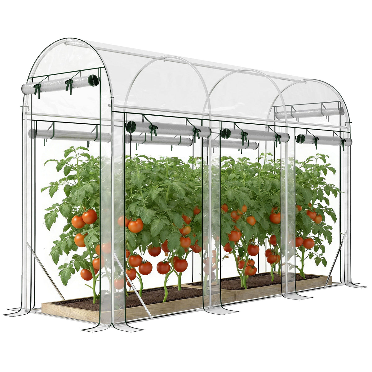 10' x 3' x 6.5' Walk-in Tunnel Greenhouse, Clear — product view 2