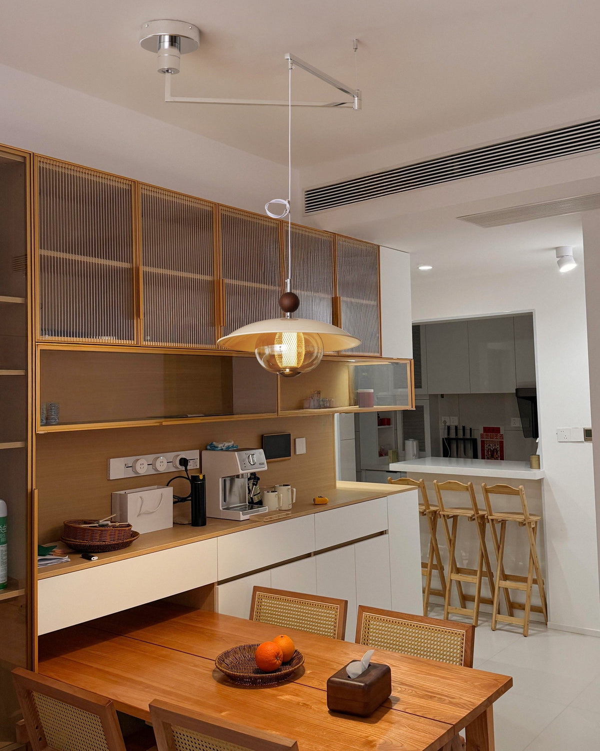 WOMO Glass Dome Swing Arm Pendant Light-WM3161 — product view 4