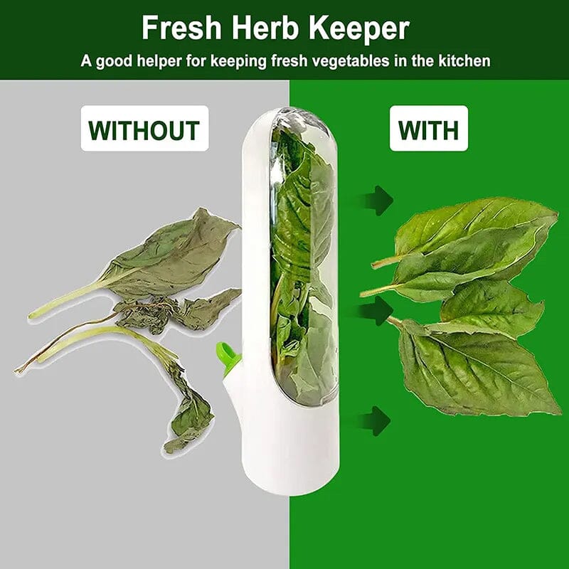 LoungeYard | Herb Fresh Holder — product view 3
