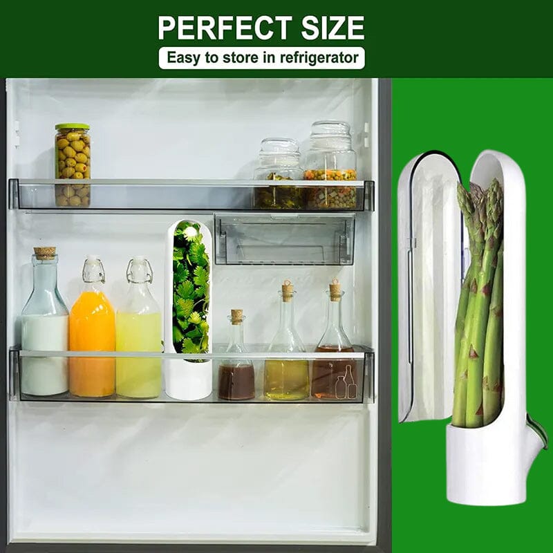 LoungeYard | Herb Fresh Holder — product view 4
