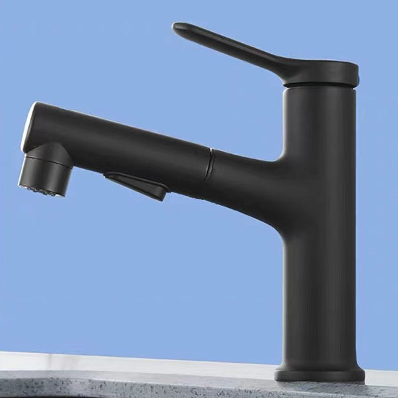 LoungeYard | Contemporary Style Faucet Single Lever Mixer with Swivel Spout — product view 1