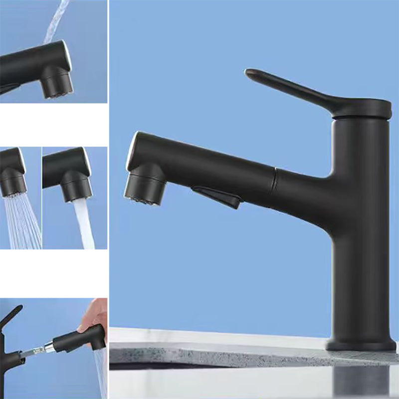 LoungeYard | Modern Washbasin Faucet Copper 1-Handle Low Arc Pull-Out Washbasin Faucet for Bathroom — product view 1