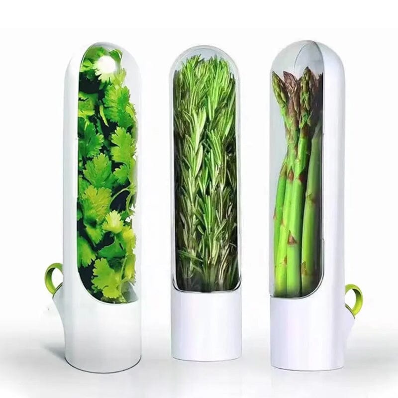 LoungeYard | Herb Fresh Holder — product view 7