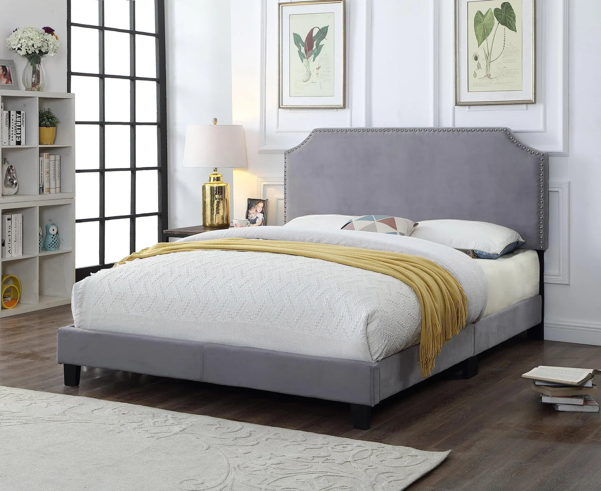 Light Grey Velvet Curved End Nailhead Trim Accents Padded Queen Bed Low Rise – 8732-Q — product view 1