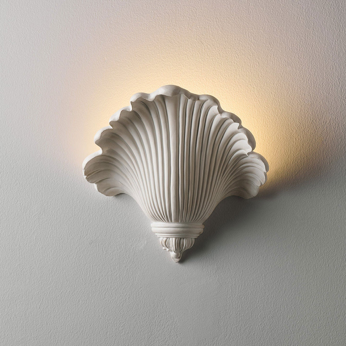 Marisca Shell Wall Sconce — product view 6
