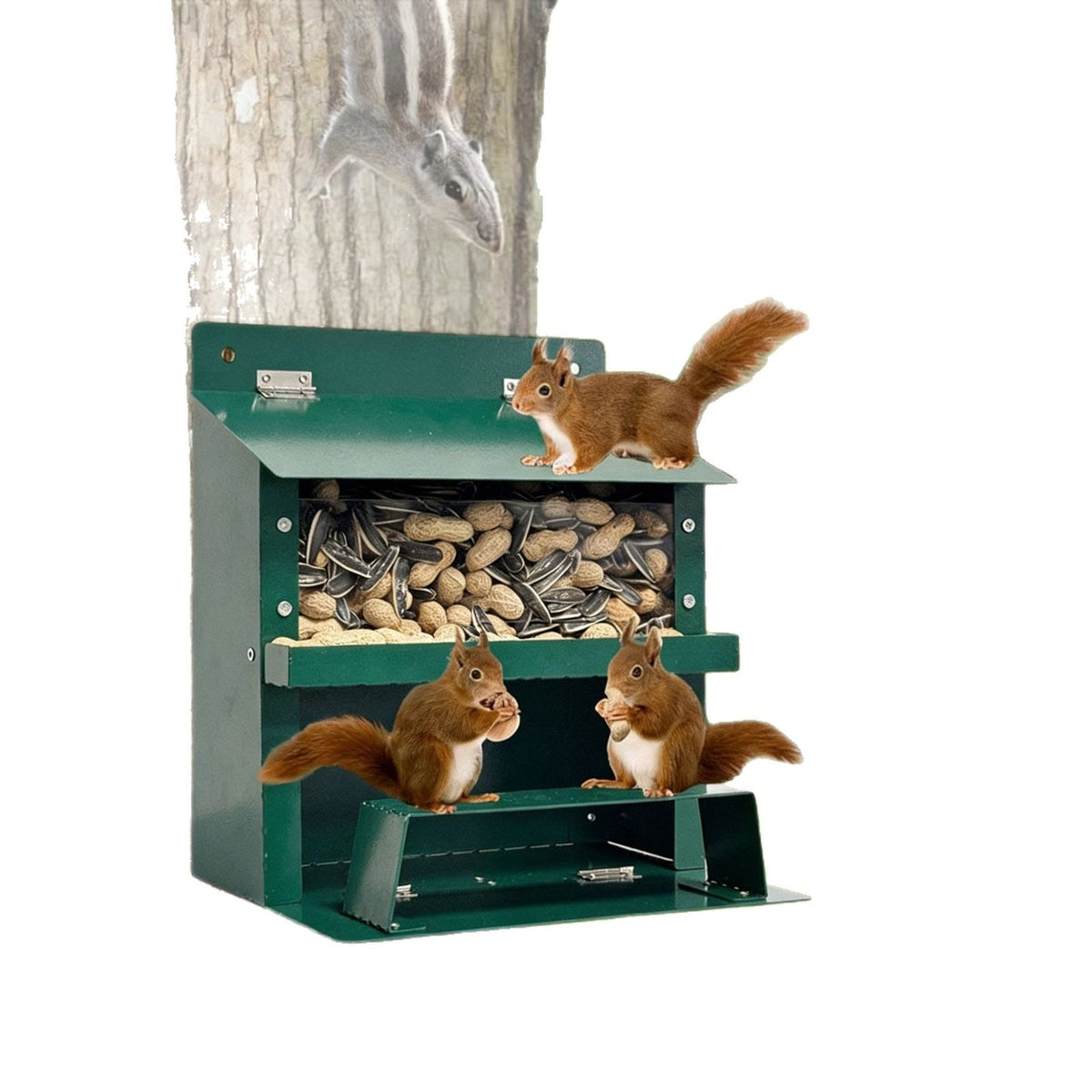 Decorative Wall-Mounted Bird Feeder Bowlift — product view 4