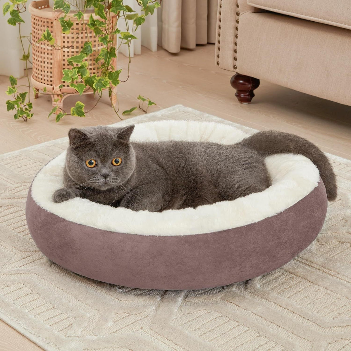 Cozy Cat Bowlift Bed — product view 1