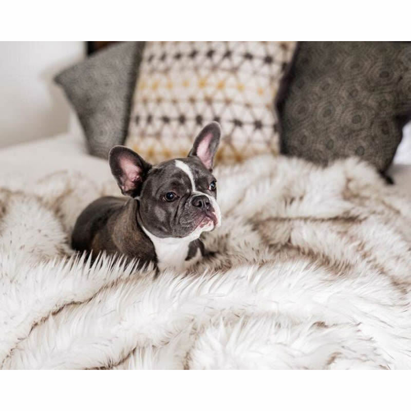 Unisex Snuggle Blanket LoungeYard — product view 4