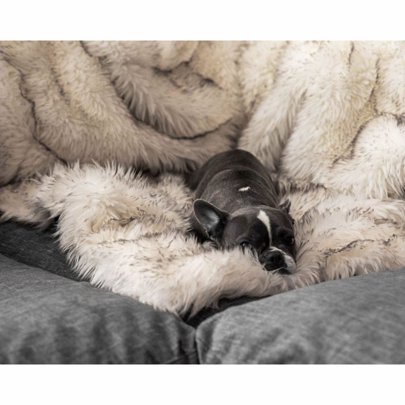 Unisex Snuggle Blanket LoungeYard — product view 3