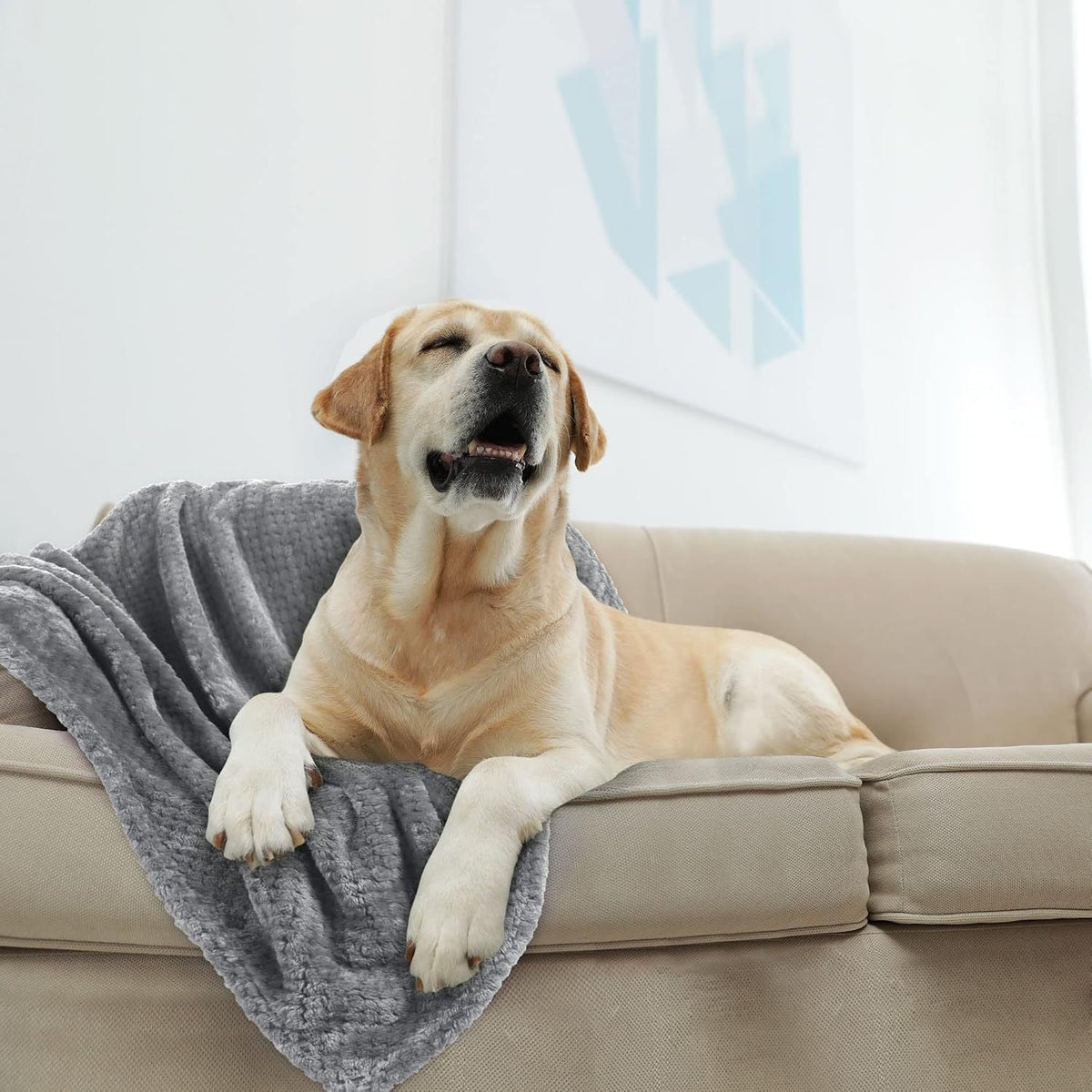 Ultra-Soft Plush Throw Blanket LoungeYard — product view 3