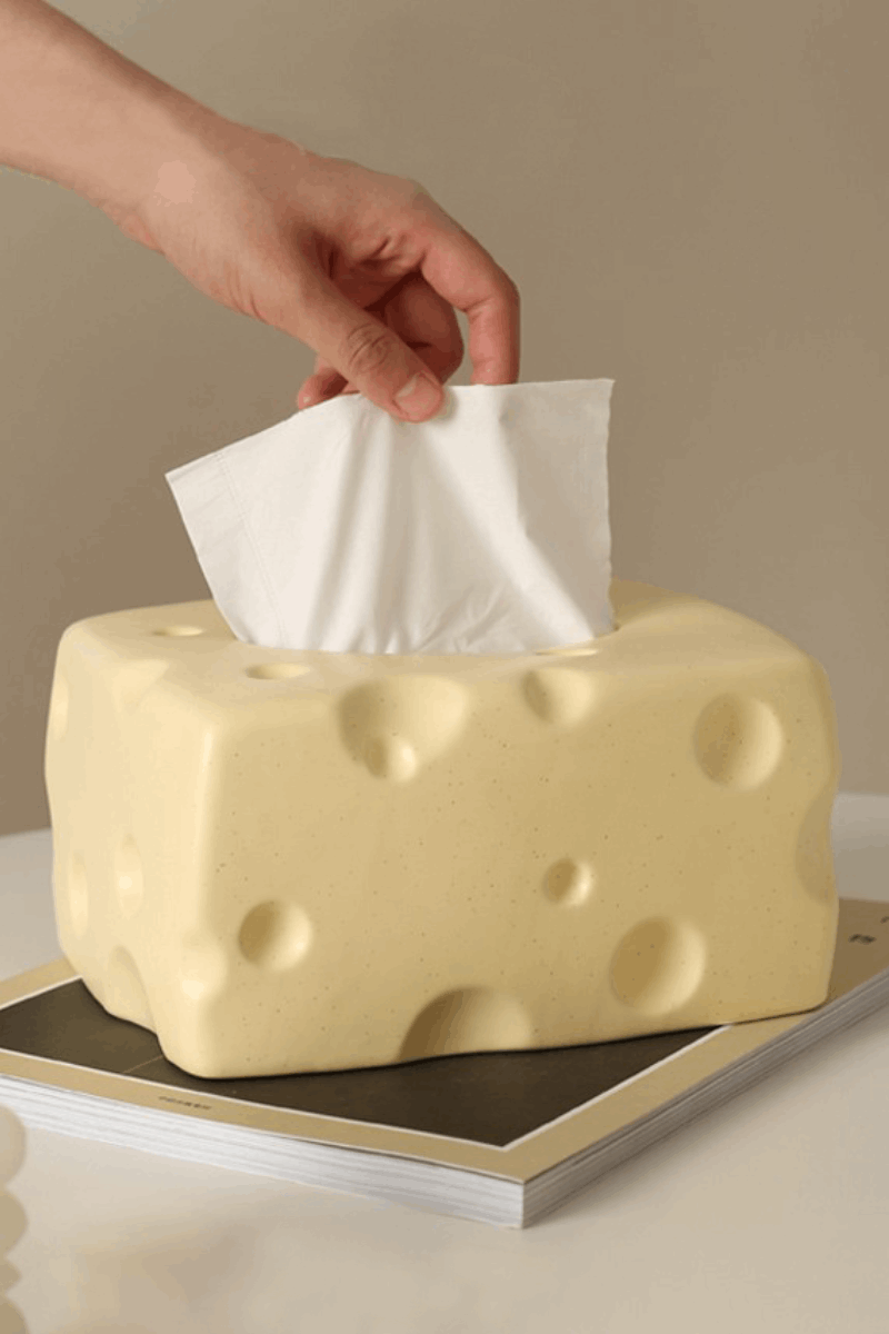 LoungeYard | 3D Cheese Design Tissue Holder for Creativity — product view 1