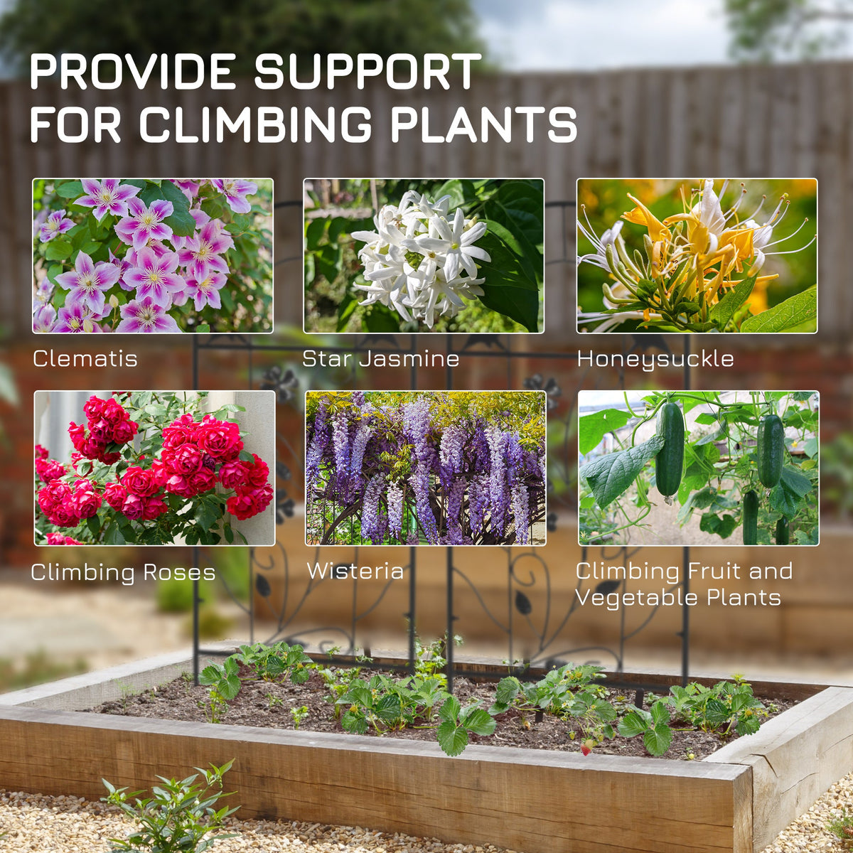 2 Pack Garden Trellis for Climbing Plants, 39" Tall — product view 6