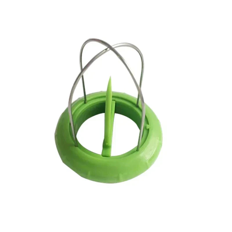 LoungeYard | Fruit Lover Kiwi Cutter — product view 7