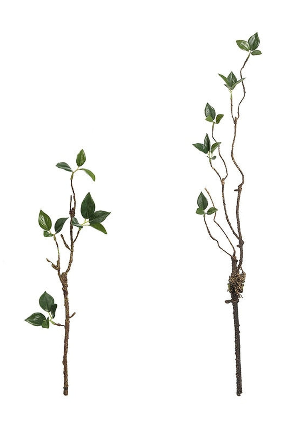 Tote Branch Elegance | LoungeYard — product view 2