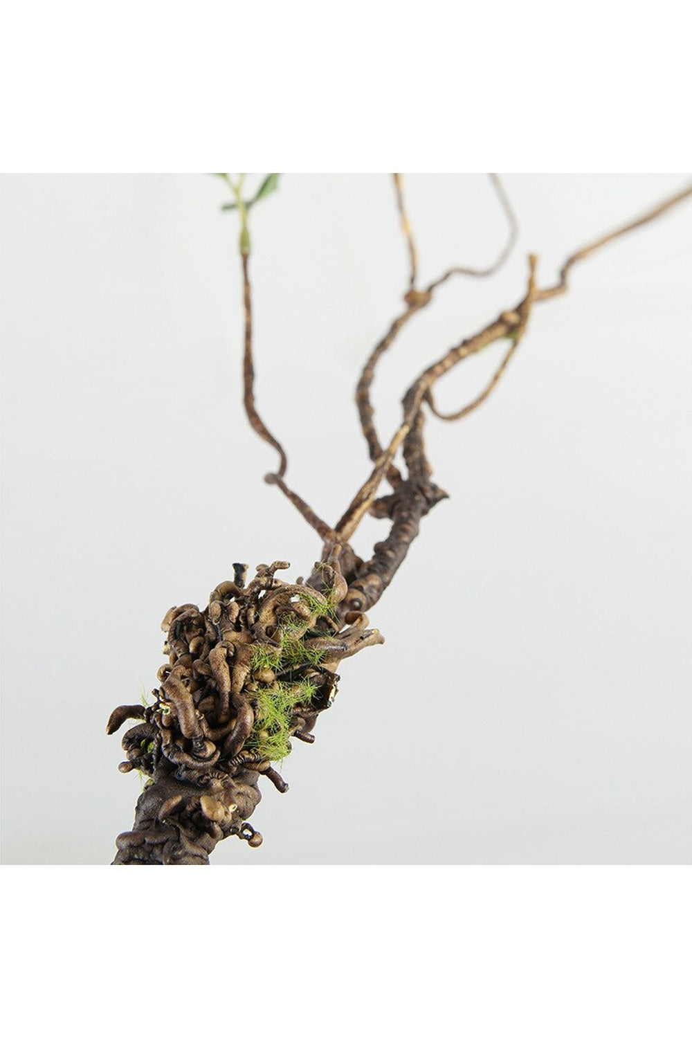 Tote Branch Elegance | LoungeYard — product view 5