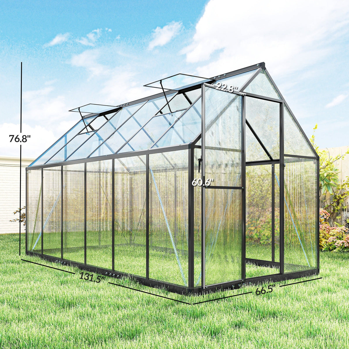 11' x 6' Polycarbonate Walk-in Greenhouse, Black — product view 5