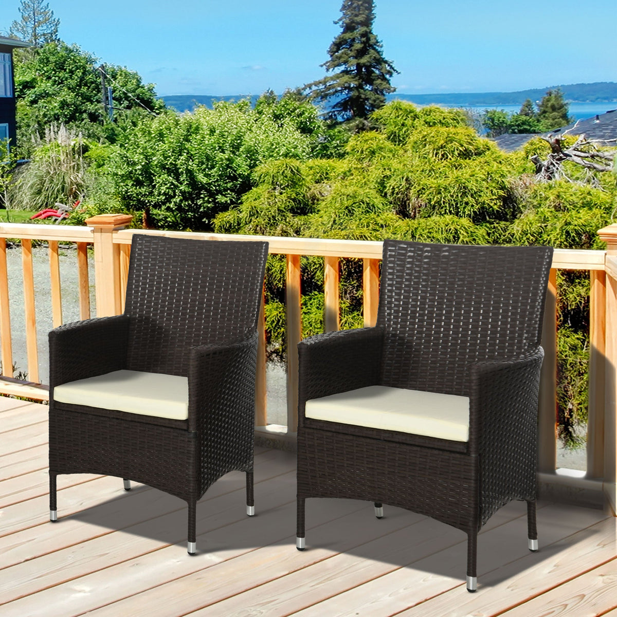 2 Piece PE Rattan Dining Chair Set with Cushions & High Back, Coffee — product view 3