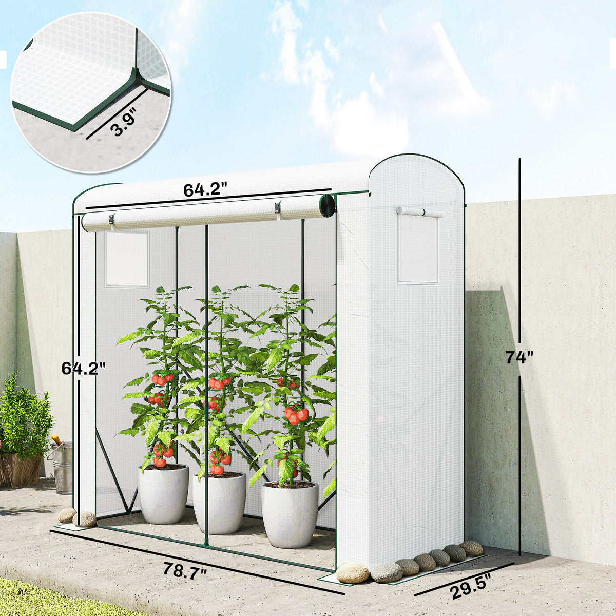 78.7" x 29.5" x 74" Mini Greenhouse, White — product view 5