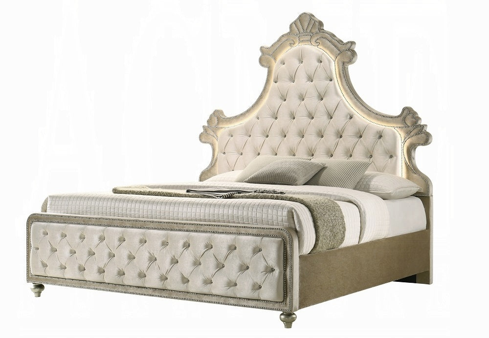 Lucienne Beige Velvet Button-Tufted Ornate Scalloped Headboard Queen Bed with LED Lighting – BD02335Q — product view 4