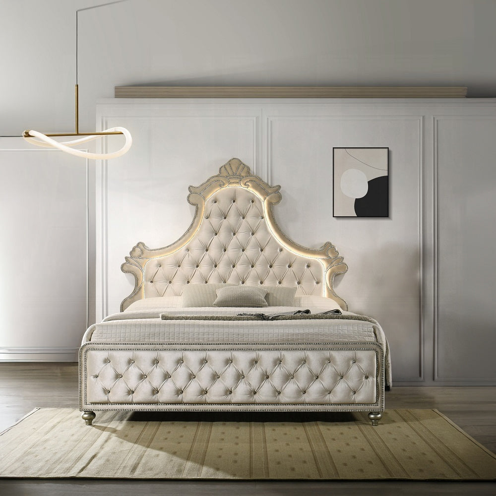 Lucienne Beige Velvet Button-Tufted Ornate Scalloped Headboard Queen Bed with LED Lighting – BD02335Q — product view 2