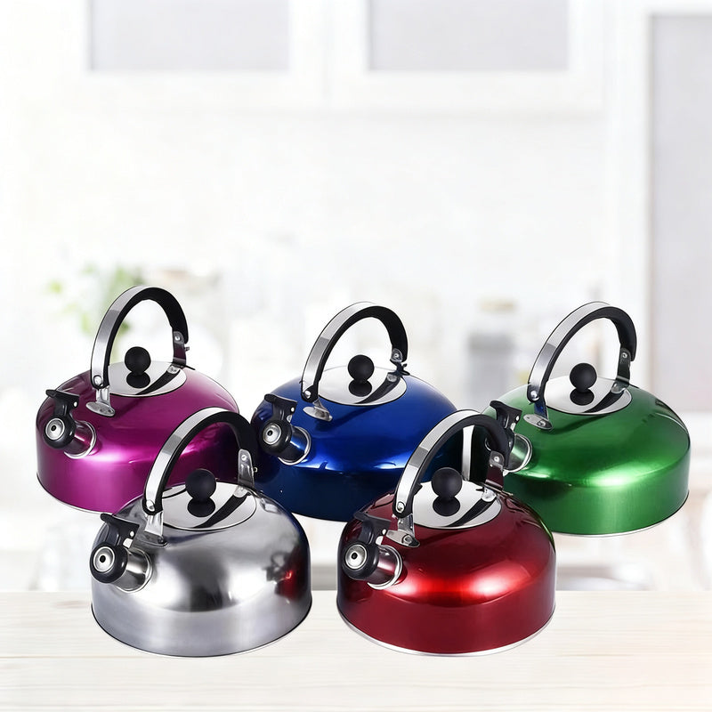 Stainless Steel Kettle with Whistle, 3–4 L — product view 1